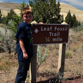 Leaf Fossil Trail, age 10