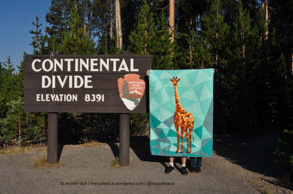 Giraffe at Continental Divide, Yellowstone NP